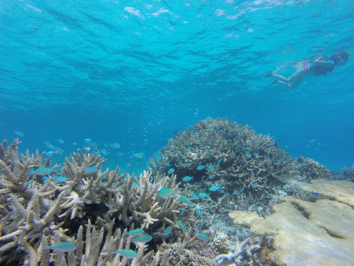 Sevinex Inn Feridhoo Εξωτερικό φωτογραφία