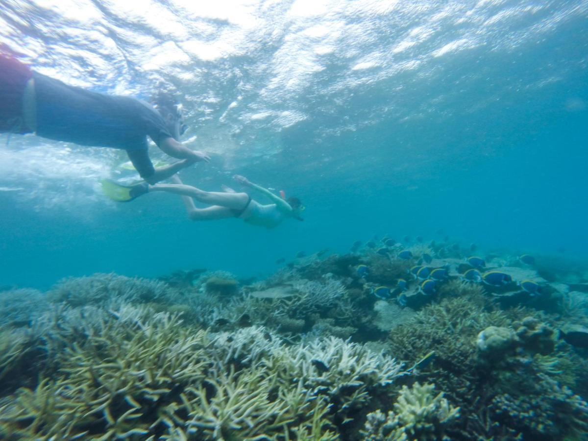 Sevinex Inn Feridhoo Εξωτερικό φωτογραφία